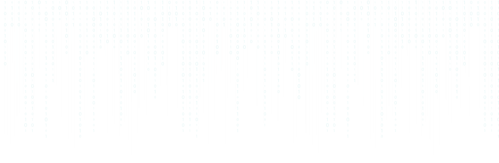 Enterprise Platform Architect 